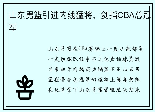 山东男篮引进内线猛将，剑指CBA总冠军